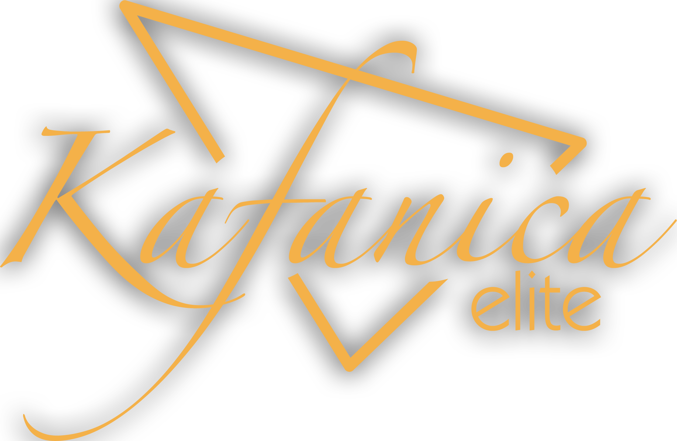 Logo 13